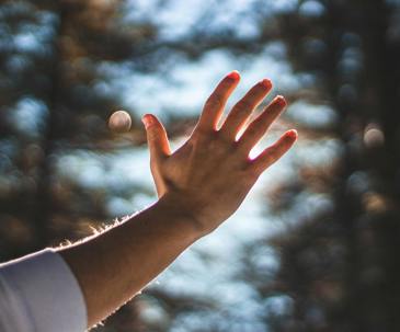 What Rights Should Nature Have?